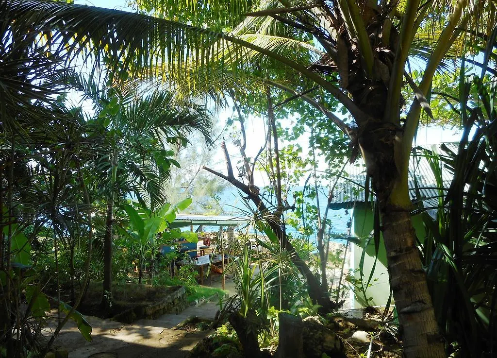 Banana Shout Resort Negril